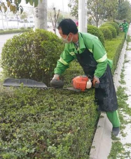 寫美篇  鄠邑區園林綠化管理所副所長巴敬輝帶領養護科人員檢查兩個