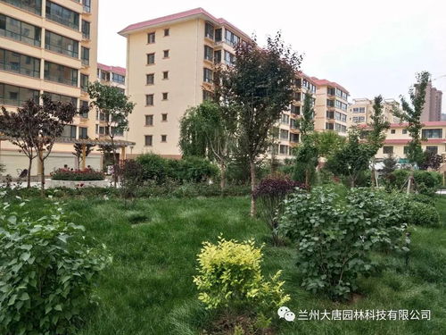 临洮怡康苑住宅小区园林景观绿化工程