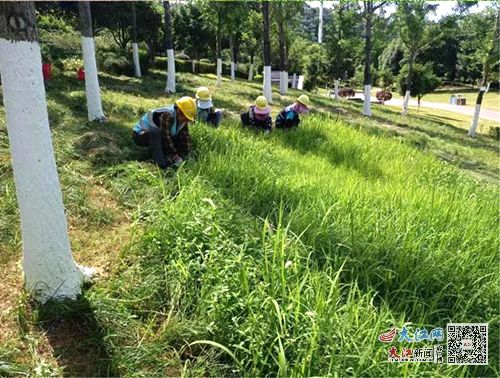 战高温 迎 烤验 信丰城管打好绿化养护攻坚战